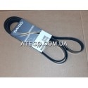 Ремень генератора Mercedes Atego 8PK2085. DAYCO