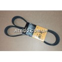 Ремень генератора Mercedes Atego 8PK1480. Continental