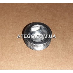 Зливна пробка заднього моста Mercedes Atego 3529970032 M24*1,5. FEBI