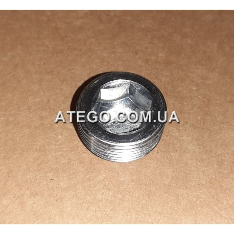 Зливна пробка заднього моста Mercedes Atego 3529970032 M24*1,5. FEBI