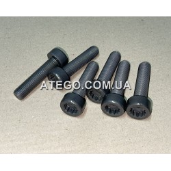 Болт кріплення маховика двигуна Mercedes Atego 9060320171 (M14x60)