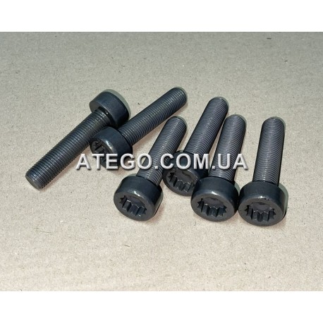 Болт кріплення маховика двигуна Mercedes Atego 9060320171 (M14x60)