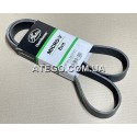 Ремінь генератора Mercedes Atego 8PK1365. Gates