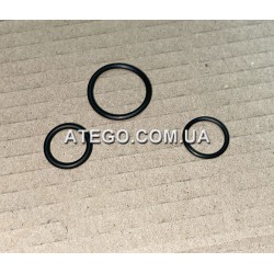 Комплет резинок пневмосистеми Mercedes Atego під гайку M22. (Тип VOSS 232, NG12)