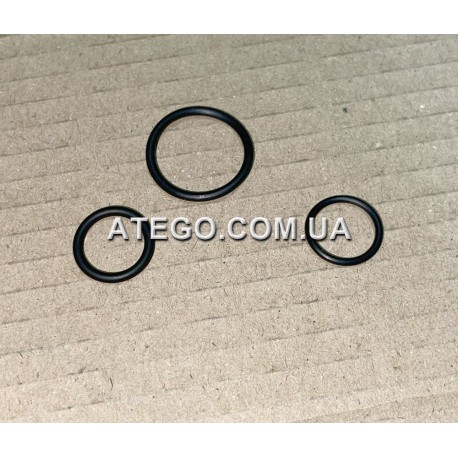 Комплет резинок пневмосистемы Mercedes Atego под гайку M22. (Тип VOSS 232, NG12)
