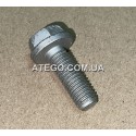 Рамный болт Mercedes Atego N910105010001 M10x30. Оригинал