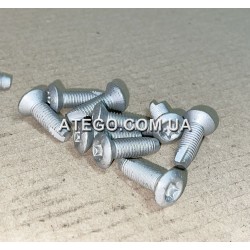 Винт крепления скобы дверного замка Mercedes Atego M8x25 0009843129. Оригинал