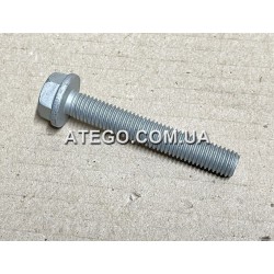 Болт крепления радиатора Mercedes Atego N910105010012 (M10x65). Оригинал