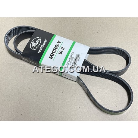 Ремінь генератора Mercedes Atego 8PK1480. Gates
