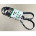 Ремінь генератора Mercedes Atego 8PK1480. Gates