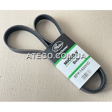 Ремень генератора Mercedes Atego 8PK1420. Gates