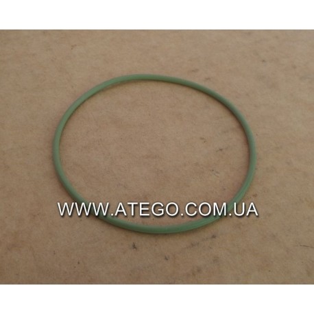 Уплотнительное кольцо задней ступицы Mercedes Atego 3059970345