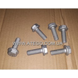 Карданный болт Mercedes Atego (M10*30). Оригинал