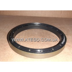 Сальник передней ступицы Mercedes ATEGO 0229973447 (100x120x11/16,5). DPH