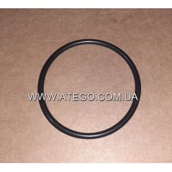 Уплотнительное кольцо патрубка впускного коллектора Mercedes Atego 0249970848. Оригинал