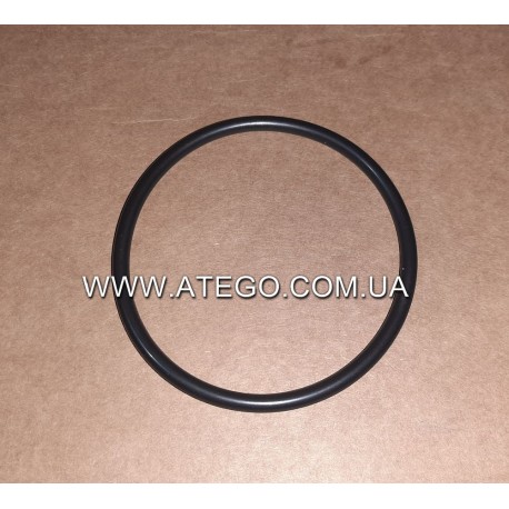 Ущільнююче кільце патрубка впускного колектора Mercedes Atego 0249970848. Оригінал