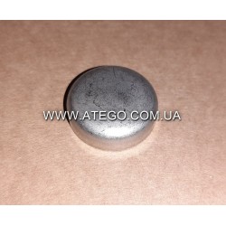 Заглушка на головці блоку Mercedes Atego 4039970620 (25,2 мм). Оригінал