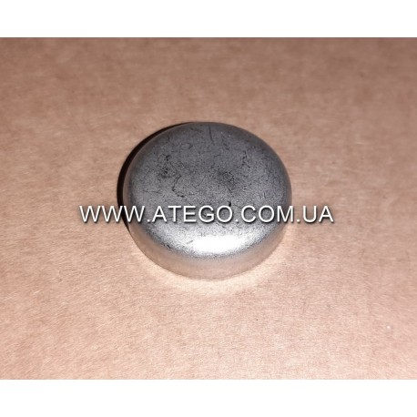Заглушка на головці блоку Mercedes Atego 4039970620 (25,2 мм). Оригінал