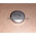 Заглушка на головке блока Mercedes Atego 4039970620 (25,2 мм). Оригинал