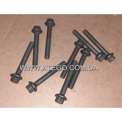 Болт кріплення стяжної скоби форсунки Mercedes Atego 9069900100. Оригінал