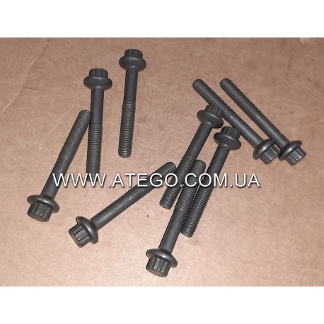 Болт кріплення стяжної скоби форсунки Mercedes Atego 9069900100. Оригінал