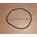 Ущільнююче кільце між горловиною і паливозабірником Mercrdes Atego 9704710380. Оригінал