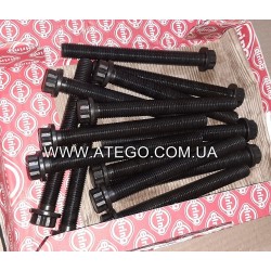 Комплект болтов головки Mercedes Atego на 6-цилиндровый двигатель (14 штук). ELRING