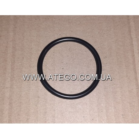 Уплотнительное кольцо патрубка турбины Mercedes Atego 0289976348. Оригинал