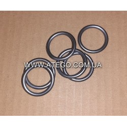 Уплотнительное кольцо под стакан форсунки Mercedes Atego (25x32,4x3,7). ELRING