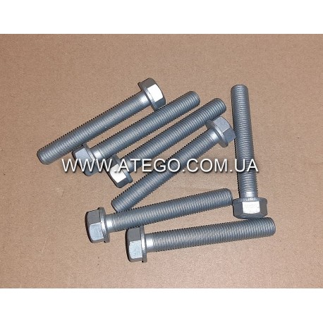 Болт кріплення заднього гальмівного диску Mercedes Atego M12x80 (на колеса 17,5). PETERS