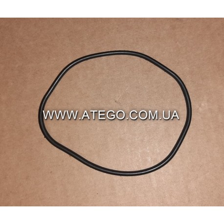 Уплотнительное кольцо между горловиной и топливозаборником Mercrdes Atego 9704710380. Оригинал