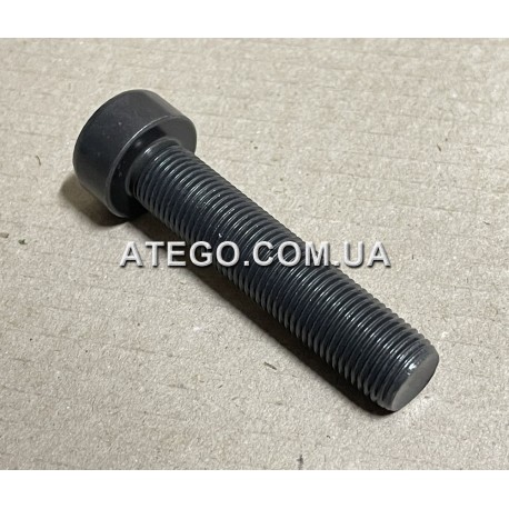 Болт крепления маховика двигателя Mercedes Atego Euro6 0039907405. Оригинал